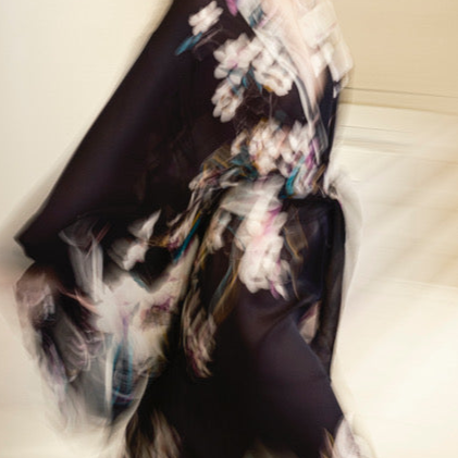 2025 Cruise - Shadows of paradise